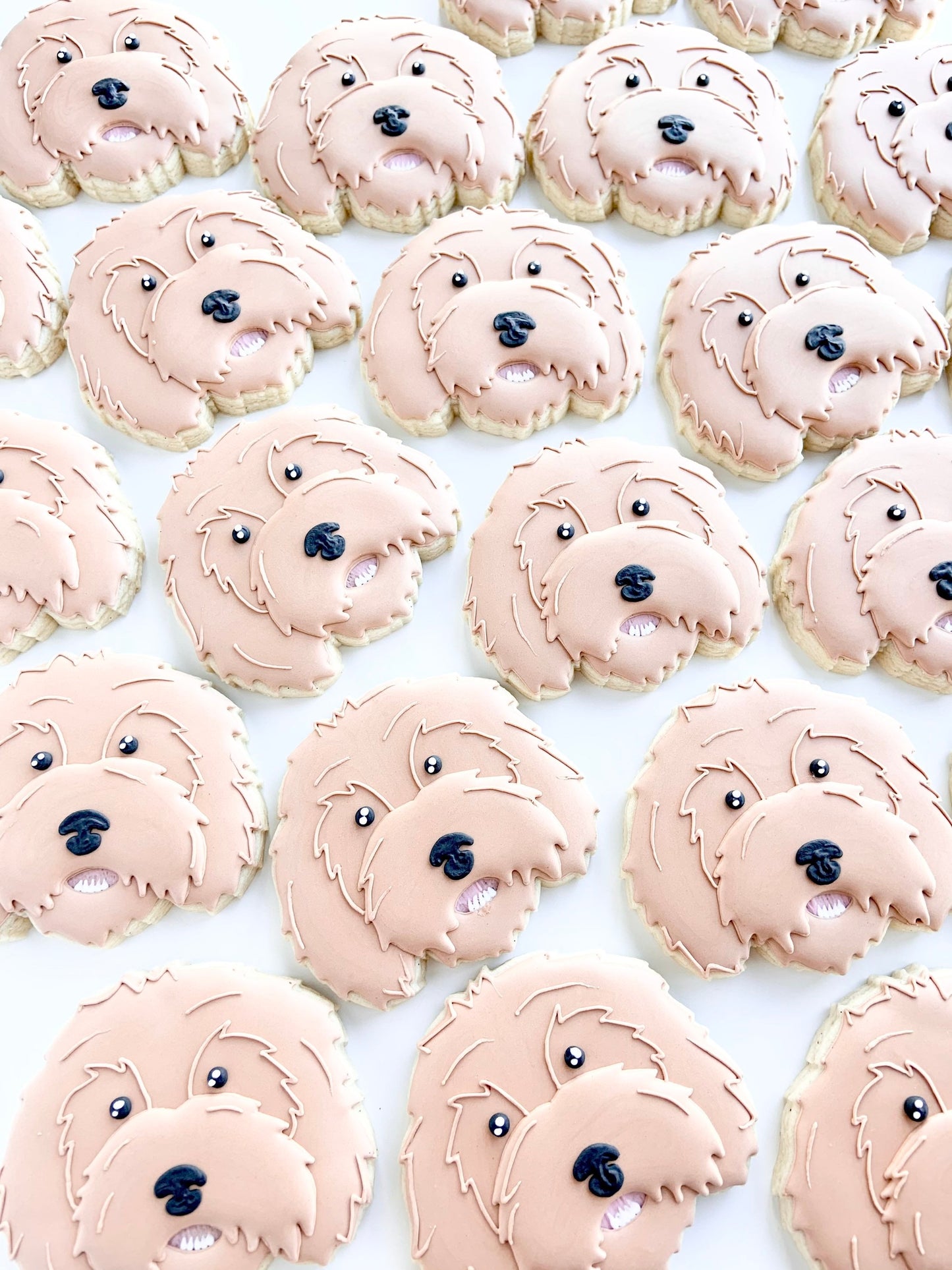 Golden Doodle, Bichon, Lab, Frenchie/Boston Terrior, Yorkie, or Boxer Dog Face Cookie Cutters
