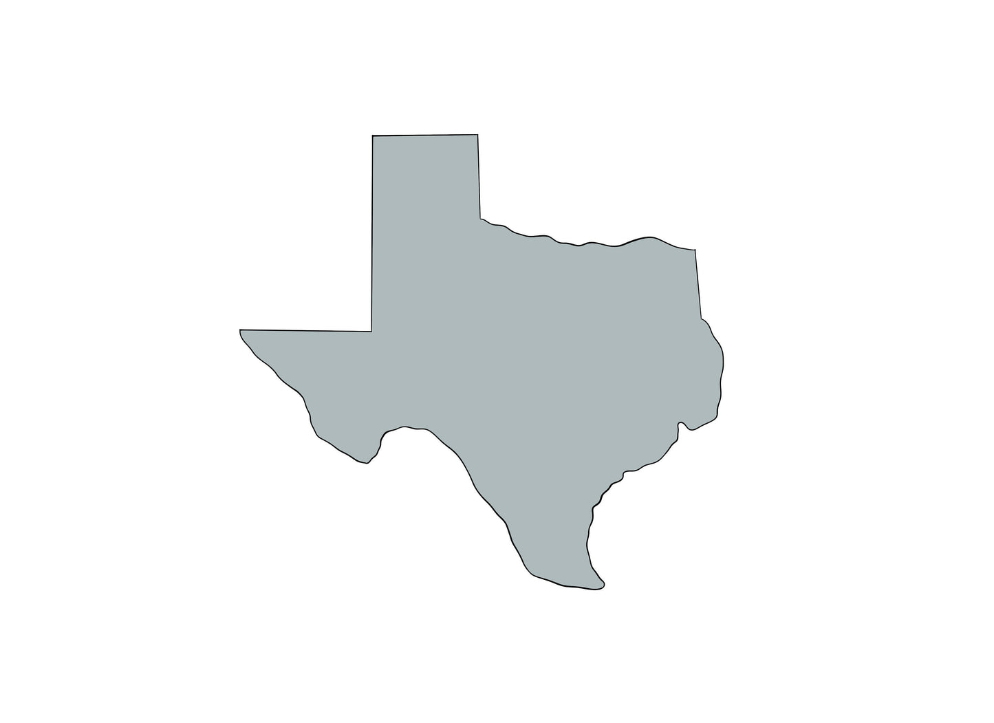 Texas State Cookie Cutter